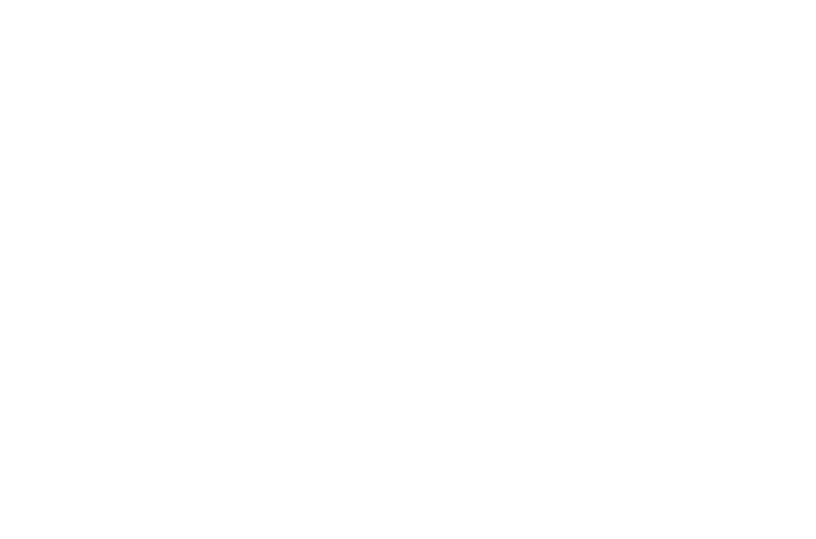 Nourish Boutique Spa secondary logo white